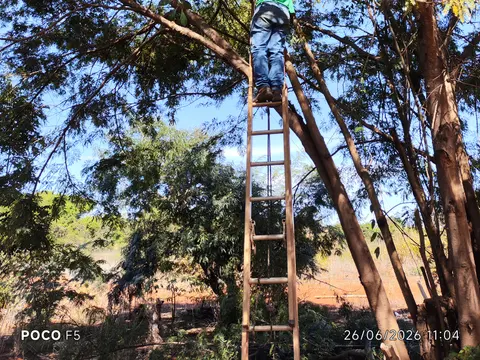 Profissional trabalhando em uma instalação de conectividade na propriedade